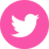 Icono Rosa Twitter Domeka Vera